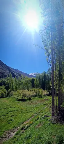 تصویری از روستای نشل