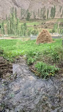 نهر نشل دشت سینو