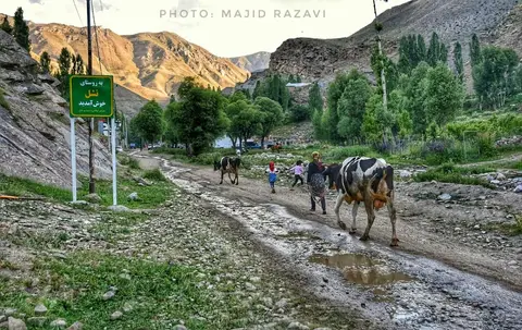 تصاویری از ییلاق نشل