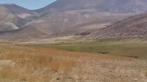 رَسَم؛ بلندای نشل 🏔️