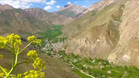 نشل زیبا را فقط باید دید تا درکش کرد.