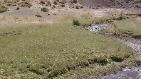💧 یک آهنگ بدون ساز، از دل کوه‌های نشل... 🌿
